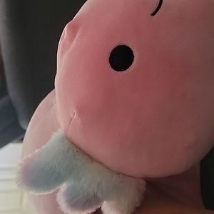 Axolotl Hug a pet